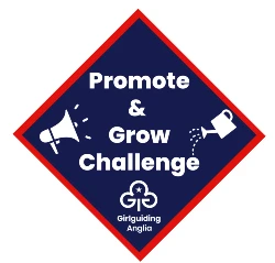 Promote and grow challenge badge
