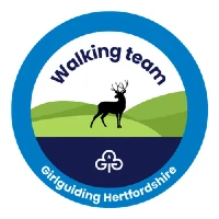 Walking team logo