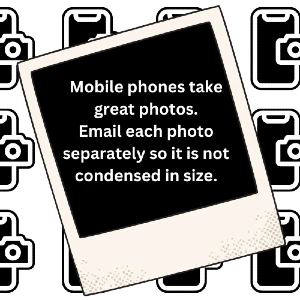 Mobile phones take great photos. Email each photo separately so it is not condensed in size.