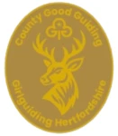County Good Guiding award badge