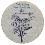 Hertfordshire Youth award badge