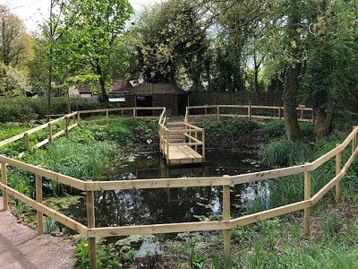 The pond